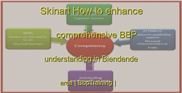 Skinart How to enhance comprehensive BBP understanding in Biendende area | BbpTraining | BbpClasses | SkinartTraining-Cameroon